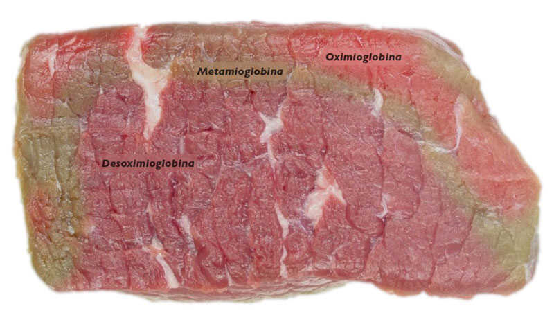 Como identificar sebo, gordura e nervo na carne