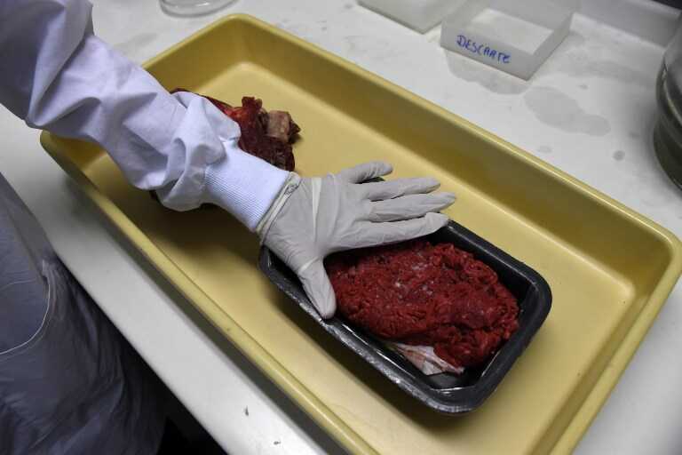 carne toxinas contaminação patógenos