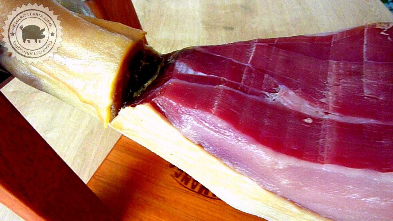 prosciutto crudo presunto cru dry cured ham jamón