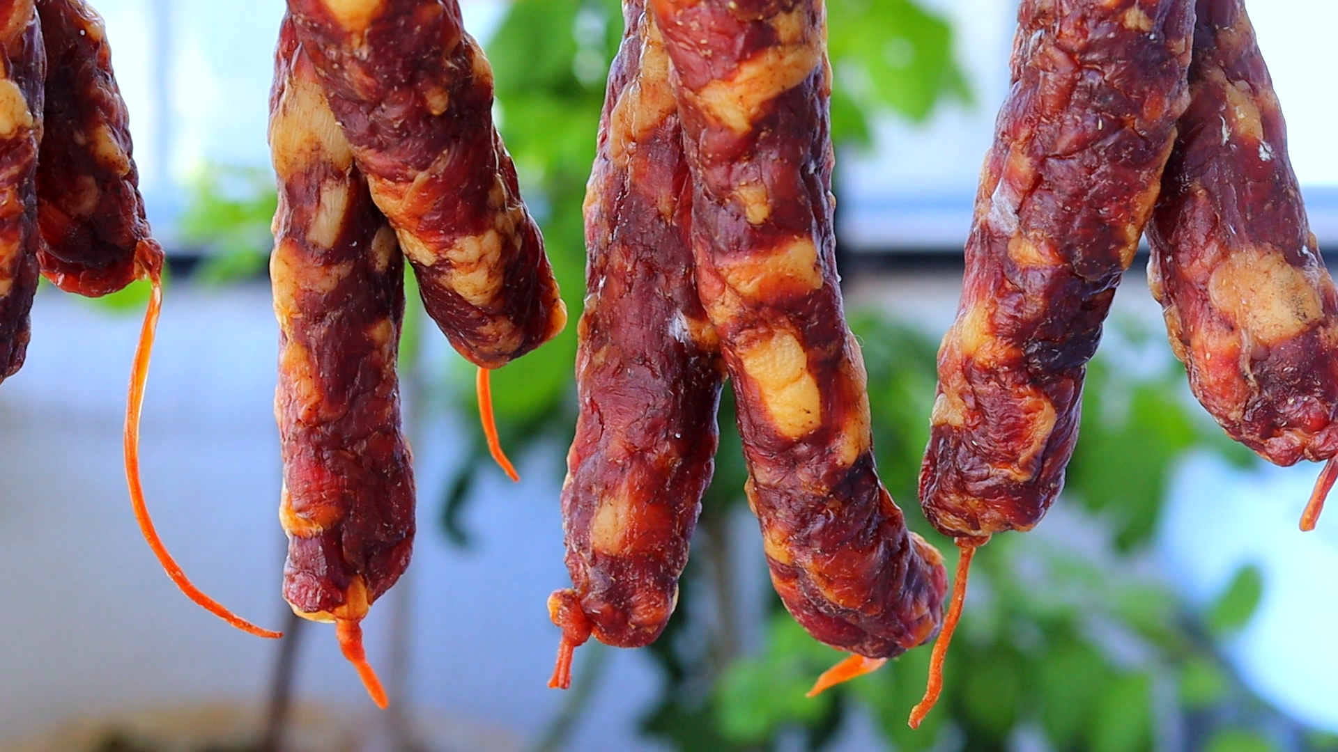 lap cheong chinese sausage 臘腸